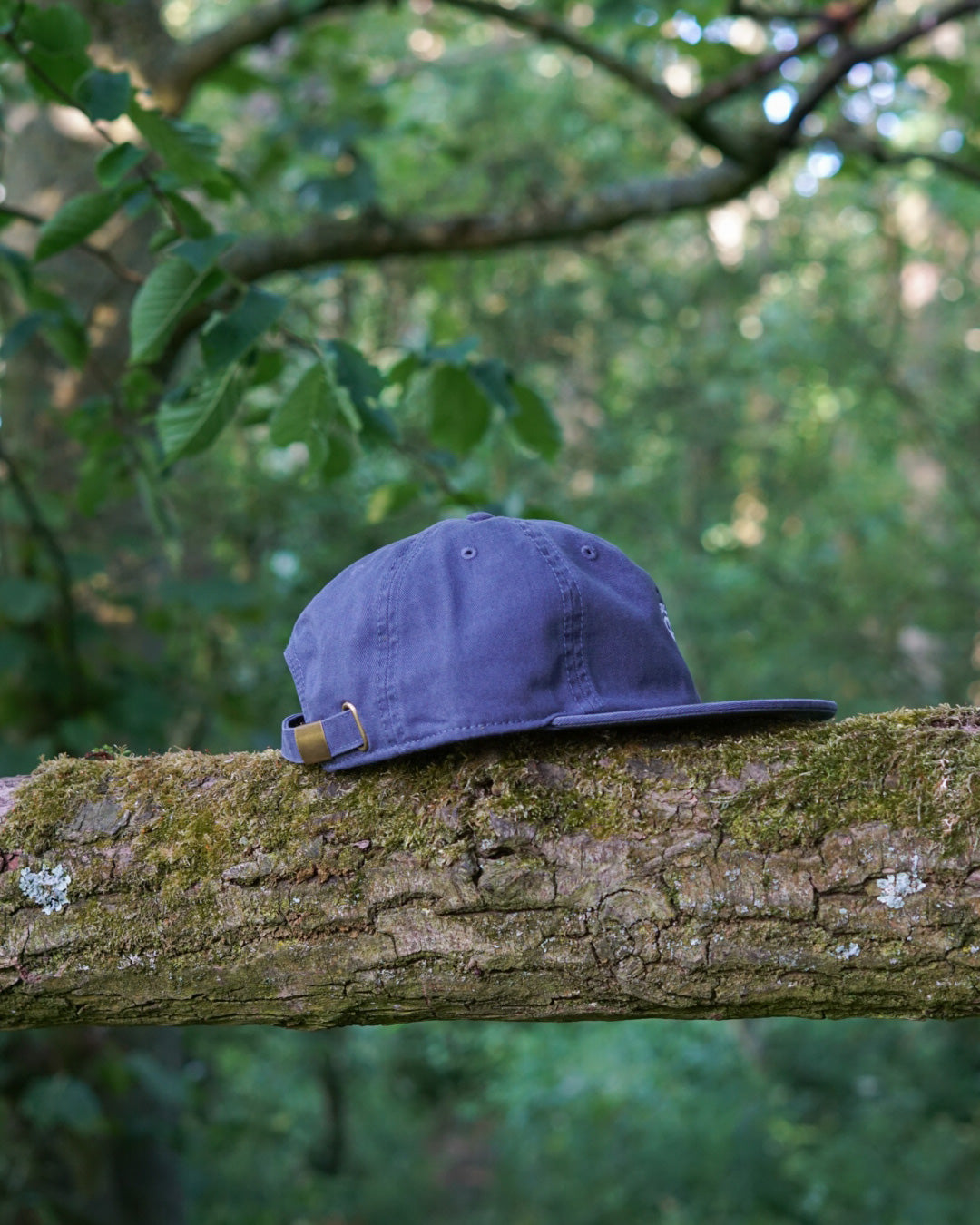 Logo Cap - Tarn Blue