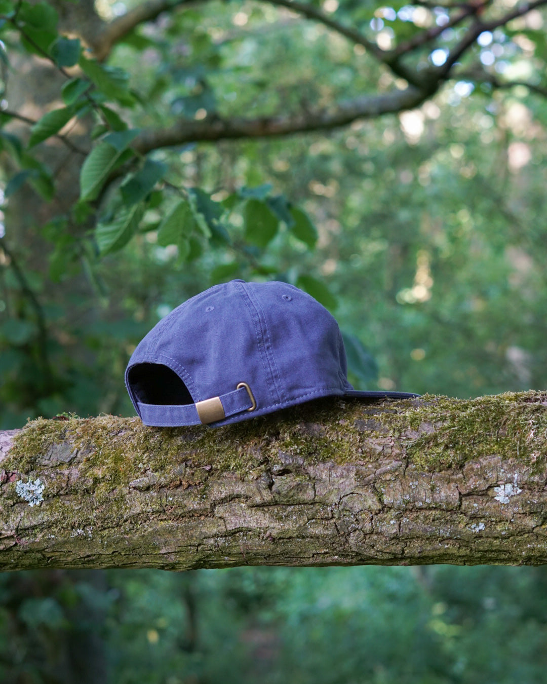 Logo Cap - Tarn Blue